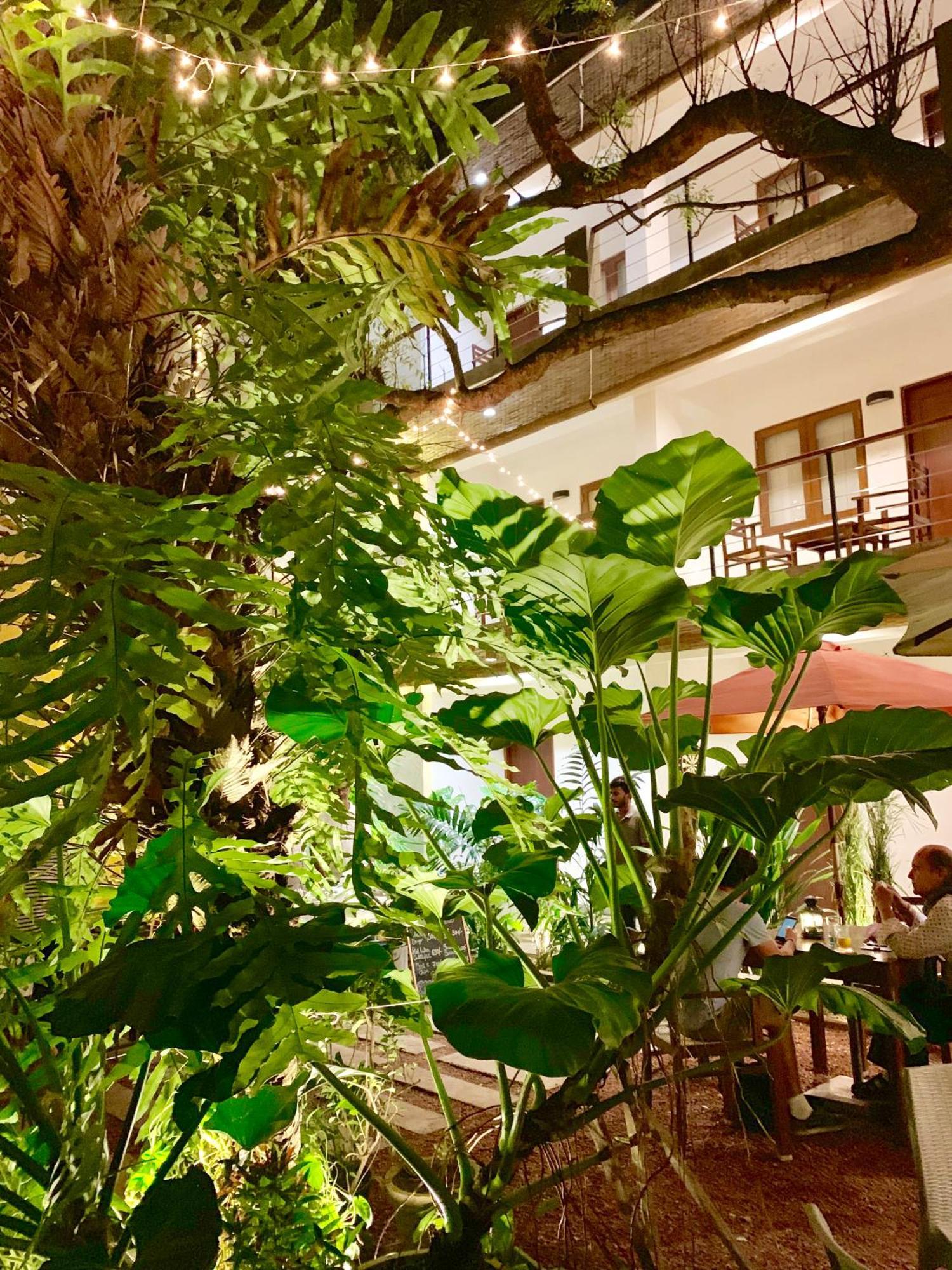 Hotel Sayura House Kolombo Exteriér fotografie